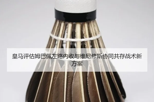 img_1780946624797_1362_0_892.jpg
